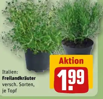 REWE DE Freilandkräuter tilbud