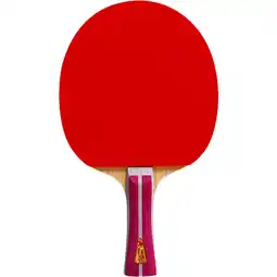 Sport 24 Double Fish 2A+ Bordtennisbat tilbud