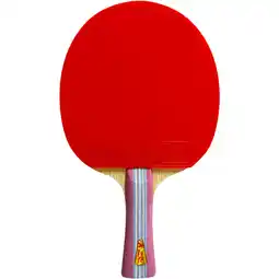 Sport 24 Double Fish 1A+ Bordtennisbat tilbud