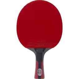 Sport 24 Double Fish Carbon King Bordtennisbat tilbud