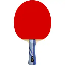 Sport 24 Double Fish 3A+ Bordtennisbat tilbud