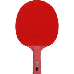 Sport 24 Double Fish Carbon King 5 Bordtennisbat tilbud