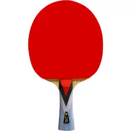 Sport 24 Double Fish 4A+ Bordtennisbat tilbud