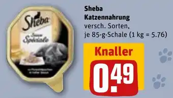 REWE DE Sheba Katzennahrung tilbud