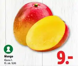Lidl Mango tilbud