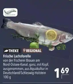 Citti Frische Lachsforelle tilbud