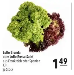 Citti Lollo Bionda oder Lollo Rosso Salat tilbud