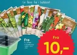 BigDollar Frø tilbud