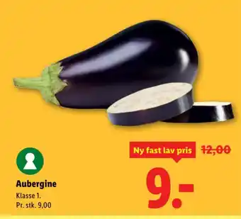Aubergine