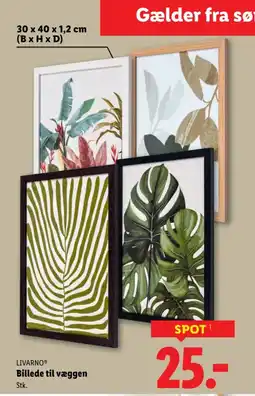 Lidl LIVARNO® Billede til væggen tilbud