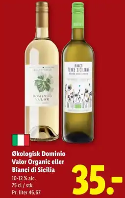 Lidl Økologisk Dominio Valor Organic eller Bianci di Sicilia tilbud
