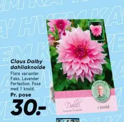 Bilka Claus Dalby dahliaknolde tilbud