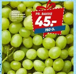 Bilka Autumn Crisp grønne stenfrie druer tilbud