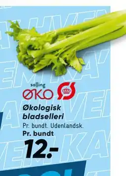 Bilka Økologisk bladselleri tilbud