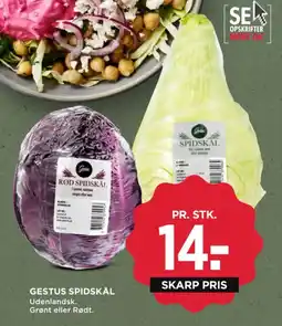 MENY Gestus spidskål tilbud