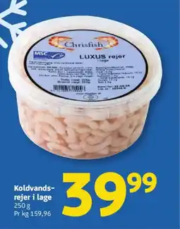 Løvbjerg Koldvands- rejer i lage tilbud