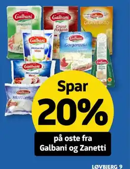 Løvbjerg På oste fra Galbani og Zanetti tilbud