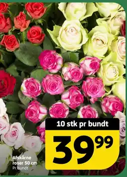 Løvbjerg Afskårne roser tilbud