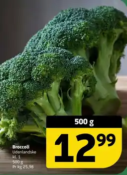 Løvbjerg Broccoli tilbud