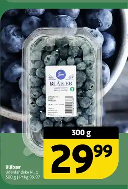 Løvbjerg Blåbær tilbud