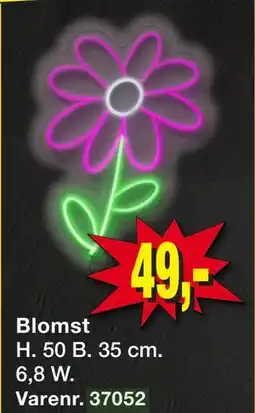 Harald Nyborg Blomst tilbud