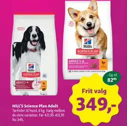 Maxi Zoo HILL'S Science Plan Adult tilbud