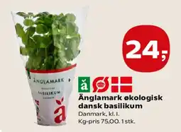 SuperBrugsen Änglamark økologisk dansk basilikum tilbud