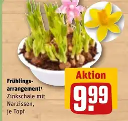 REWE DE Frühlings- arrangement tilbud