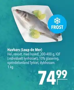 Citti Havbars (Loup de Mer) tilbud