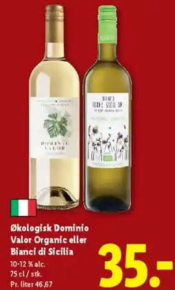 Lidl Økologisk Dominio Valor / Bianci di Sicilia tilbud