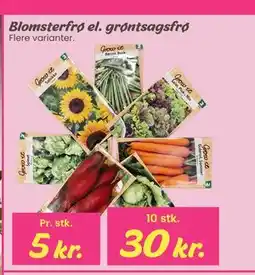 Hi five Blomsterfrø el. grøntsagsfrø tilbud