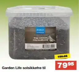 Bauhaus Garden Life solsikkefrø til tilbud