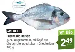 Citti Theke frische bio dorade tilbud