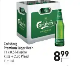 Citti Carlsberg Premium Lager Beer tilbud