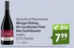 Citti Weingut Kühling Bio Gundheimer Pinot Noir Qualitätswein tilbud