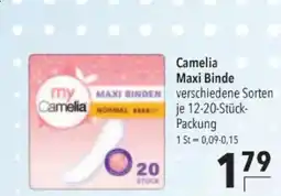 Citti Camelia Maxi Binde tilbud