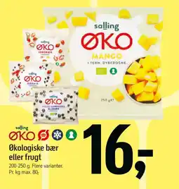 Føtex Økologiske bær eller frugt tilbud