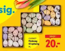 Lidl Påskeæg til ophæng tilbud
