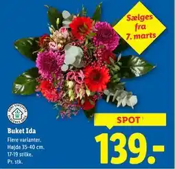 Lidl Buket Ida tilbud