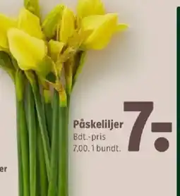 Coop 365 Påskeliljer tilbud