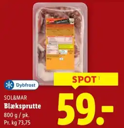 Lidl Sol&mar blæksprutte tilbud