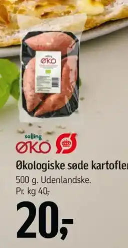 Føtex Økologiske søde kartofler tilbud