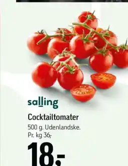 Føtex salling Cocktailtomater tilbud