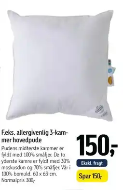 Føtex F.eks. allergivenlig 3-kam- mer hovedpude tilbud