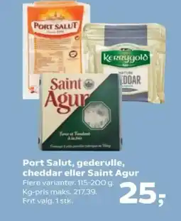 Kvickly Port Salut, gederulle, cheddar eller Saint Agur tilbud