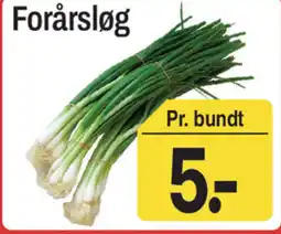 ABC Lavpris Forårsløg tilbud