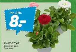 Bilka Tusindfryd tilbud