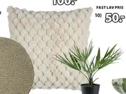 JYSK HVIDBLOMME pyntepude tilbud