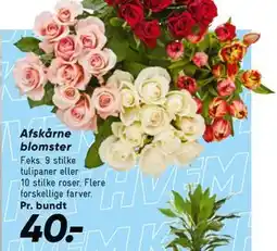 Bilka Afskårne blomster tilbud