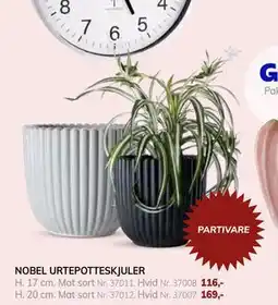 Daells Bolighus NOBEL URTEPOTTESKJULER tilbud